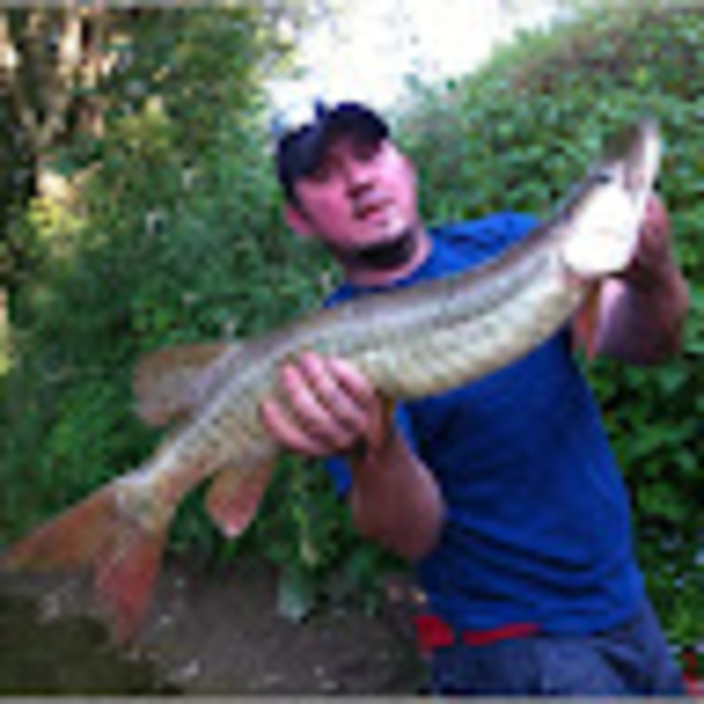 Meet your Posher, Jeffrey